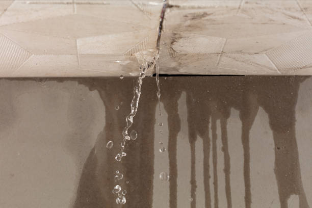 Professional Water Damage Inspection technician working in Summerfield, TX